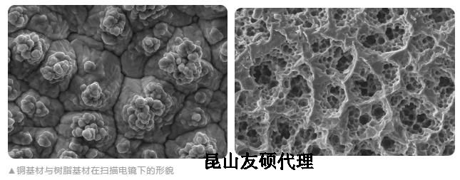 龙潭蔡司龙潭扫描电镜